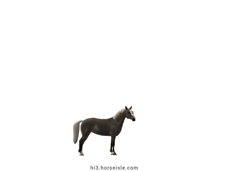 American Miniature Horse Linebacked Smoky Brown Silver Coat